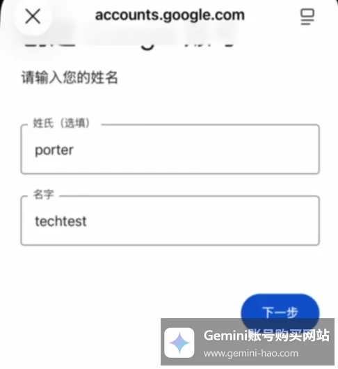 Gemini账号怎么注册？（小白必看，账号创建教程）